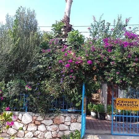 מלון Kaleucagız Cennet Pansiyon מראה חיצוני תמונה