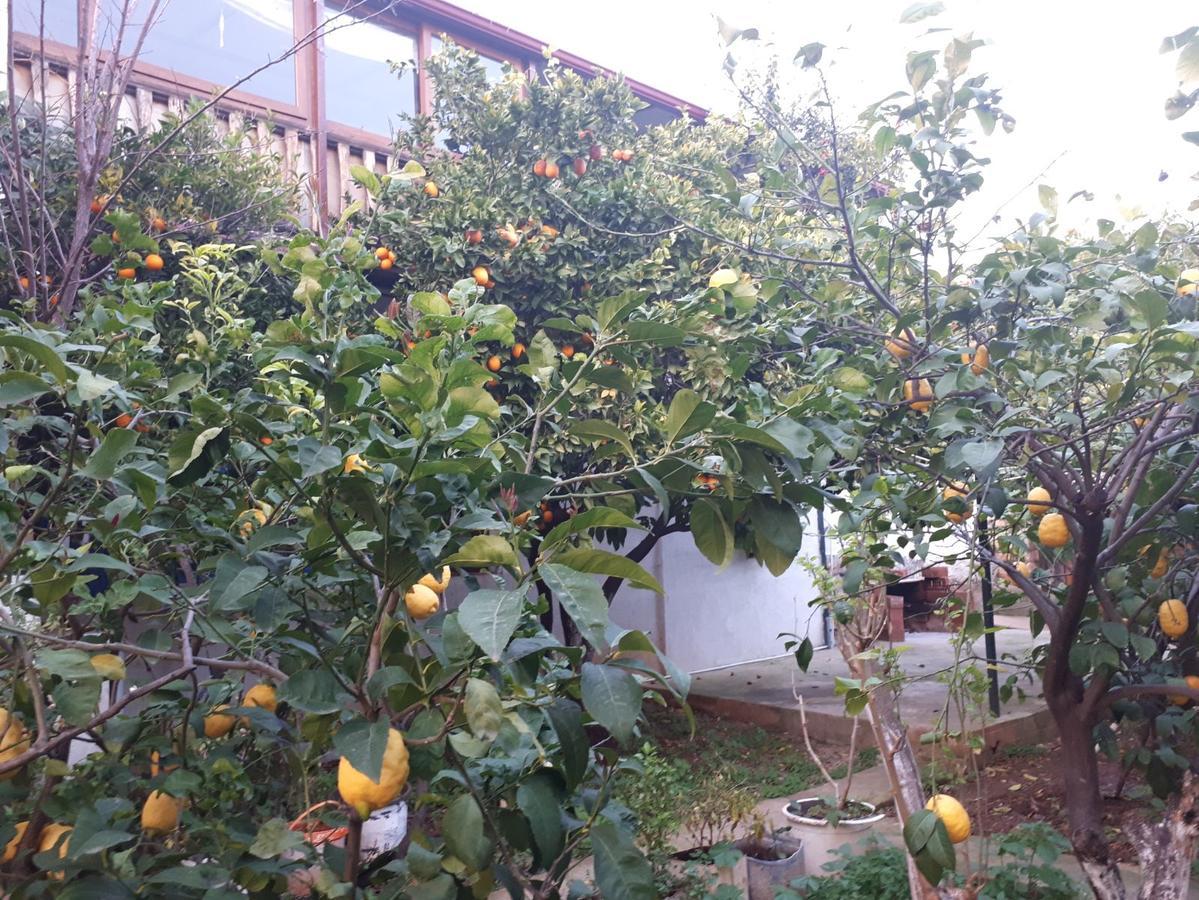 מלון Kaleucagız Cennet Pansiyon מראה חיצוני תמונה