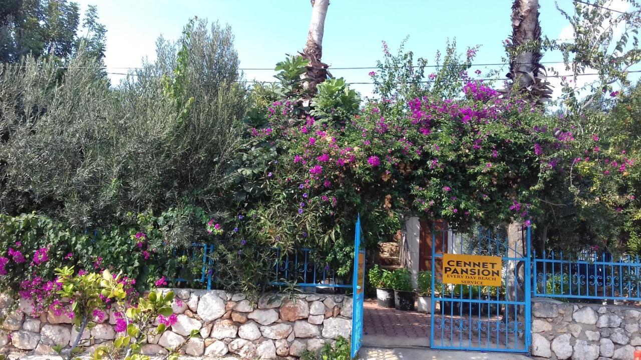 מלון Kaleucagız Cennet Pansiyon מראה חיצוני תמונה
